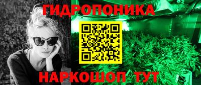 дурь Славгород