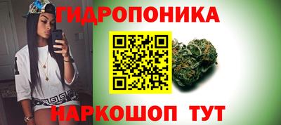 дурь Славгород