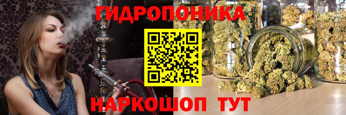 Шишки марихуана планчик Баксан